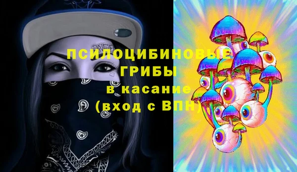 дмт Алексин